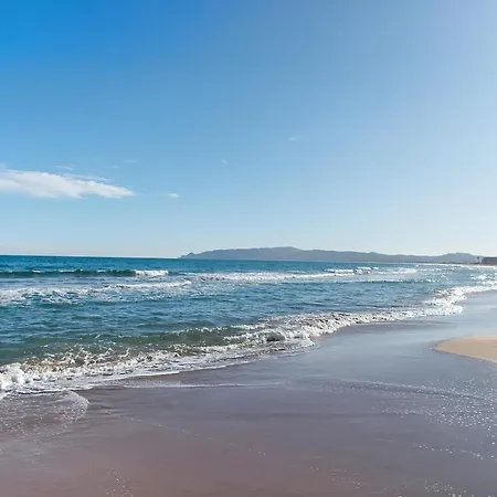 Welcs 397 Pda Junto Al Mar